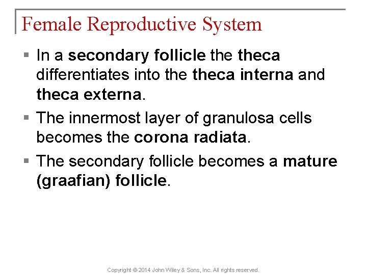 Female Reproductive System § In a secondary follicle theca differentiates into theca interna and