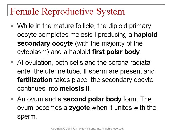 Female Reproductive System § While in the mature follicle, the diploid primary oocyte completes