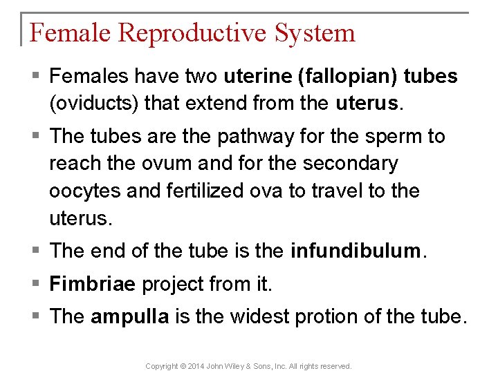 Female Reproductive System § Females have two uterine (fallopian) tubes (oviducts) that extend from
