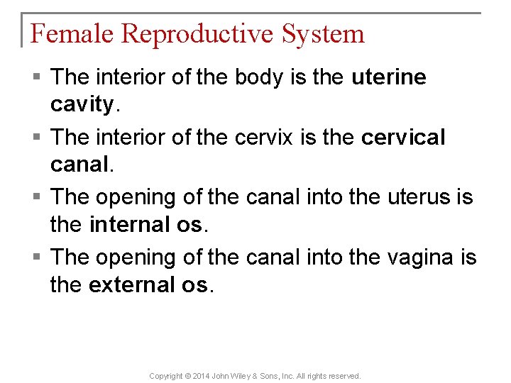 Female Reproductive System § The interior of the body is the uterine cavity. §