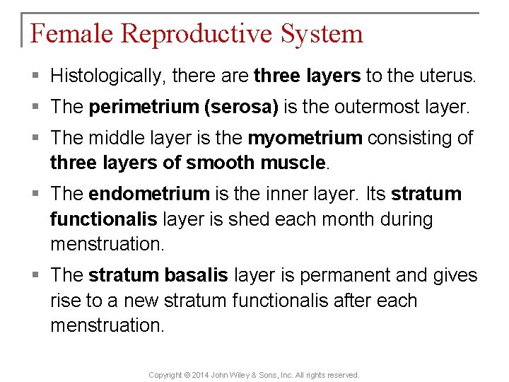 Female Reproductive System § Histologically, there are three layers to the uterus. § The