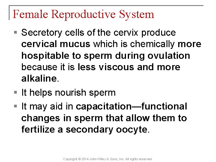 Female Reproductive System § Secretory cells of the cervix produce cervical mucus which is