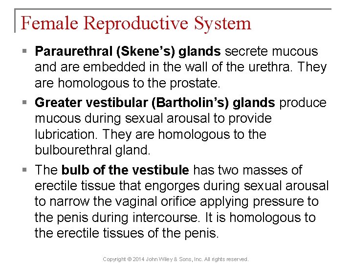 Female Reproductive System § Paraurethral (Skene’s) glands secrete mucous and are embedded in the