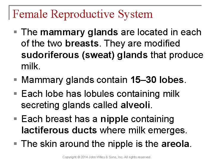 Female Reproductive System § The mammary glands are located in each of the two