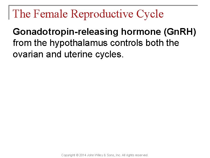The Female Reproductive Cycle Gonadotropin-releasing hormone (Gn. RH) from the hypothalamus controls both the