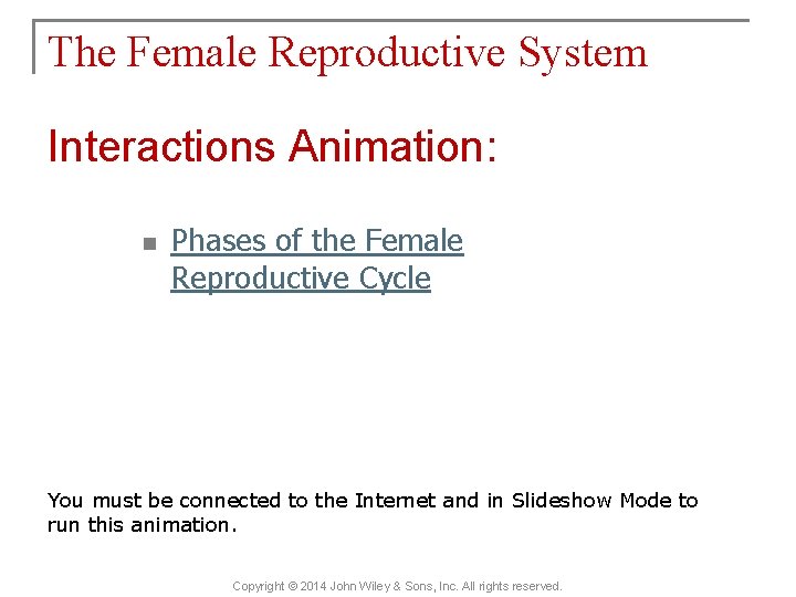 The Female Reproductive System Interactions Animation: n Phases of the Female Reproductive Cycle You