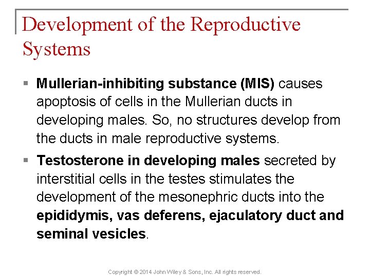 Development of the Reproductive Systems § Mullerian-inhibiting substance (MIS) causes apoptosis of cells in