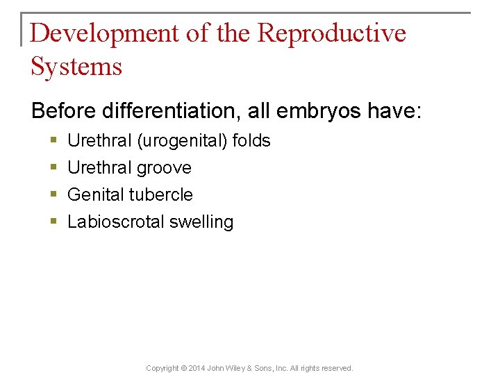 Development of the Reproductive Systems Before differentiation, all embryos have: § § Urethral (urogenital)