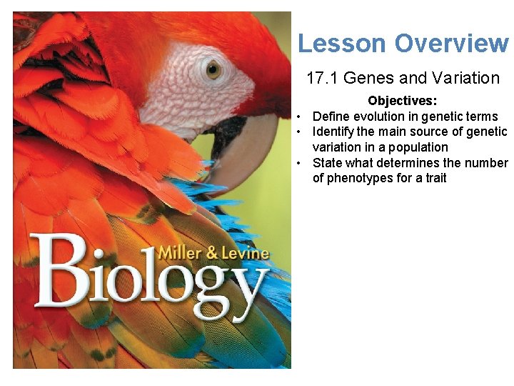 Lesson Overview 17. 1 Genes and Variation Objectives: • Define evolution in genetic terms