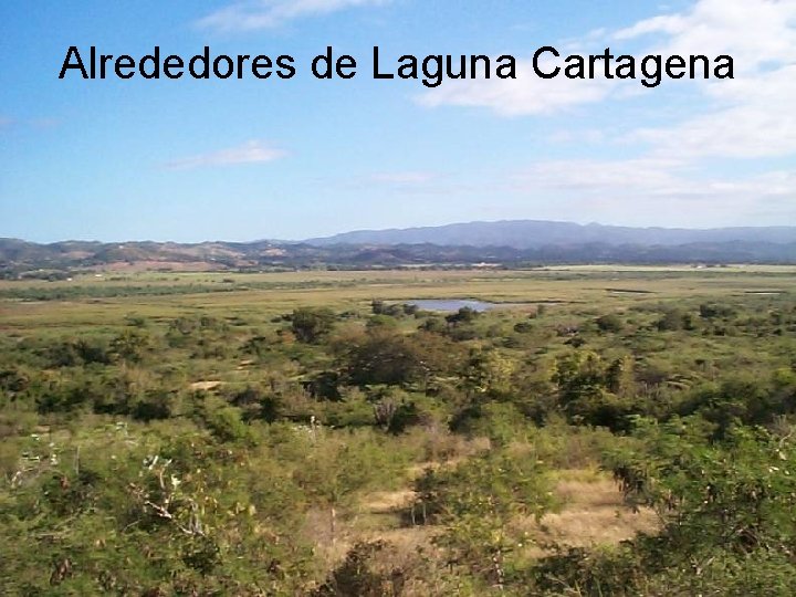 Alrededores de Laguna Cartagena 