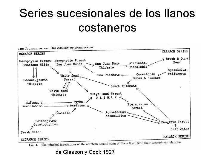 Series sucesionales de los llanos costaneros de Gleason y Cook 1927 