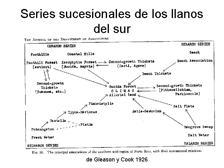 Series sucesionales de los llanos del sur de Gleason y Cook 1926 