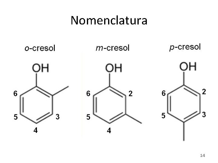 Nomenclatura 14 