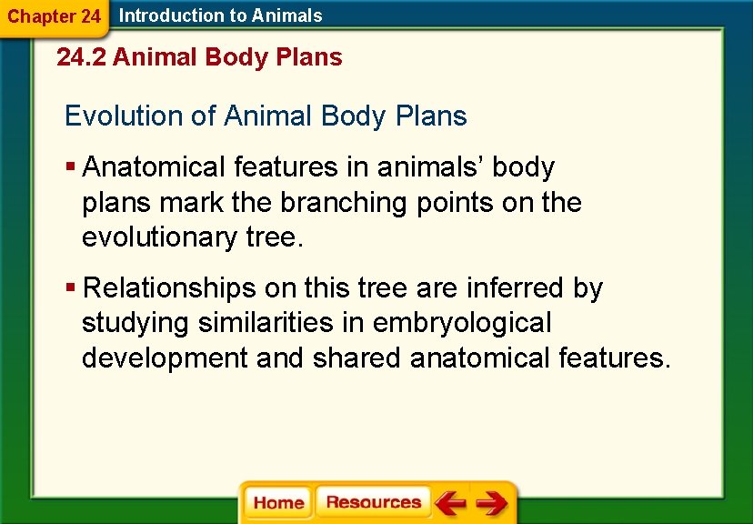 Chapter 24 Introduction to Animals 24. 2 Animal Body Plans Evolution of Animal Body