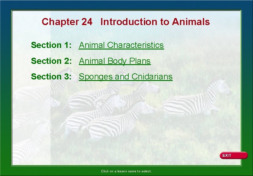 Chapter 24 Introduction to Animals Section 1: Animal Characteristics Section 2: Animal Body Plans