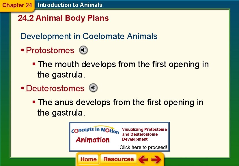 Chapter 24 Introduction to Animals 24. 2 Animal Body Plans Development in Coelomate Animals