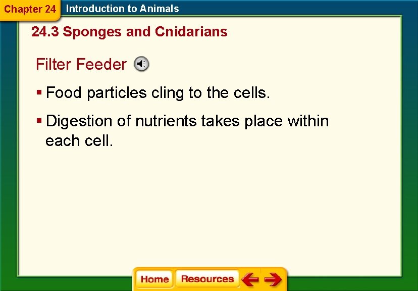 Chapter 24 Introduction to Animals 24. 3 Sponges and Cnidarians Filter Feeder § Food