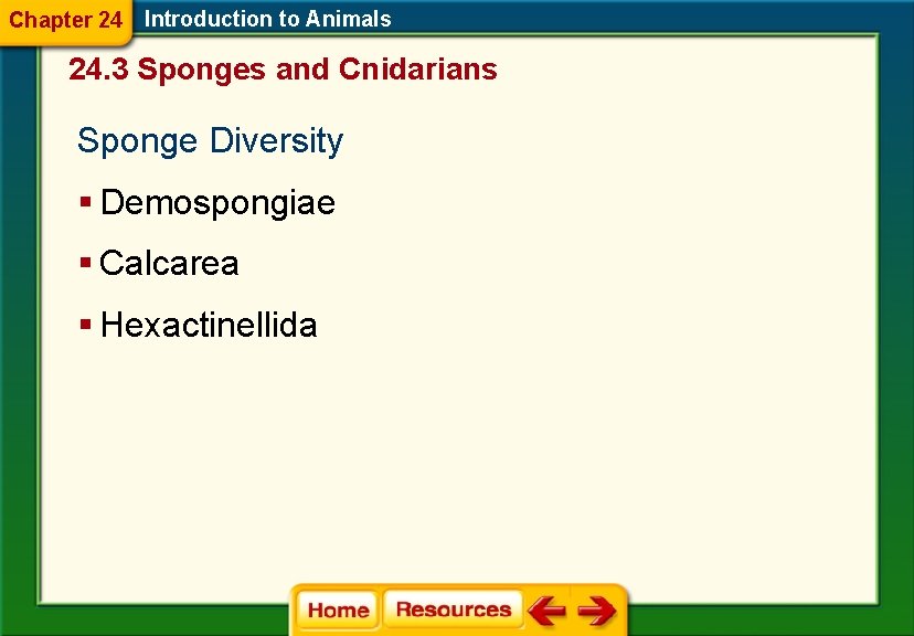 Chapter 24 Introduction to Animals 24. 3 Sponges and Cnidarians Sponge Diversity § Demospongiae