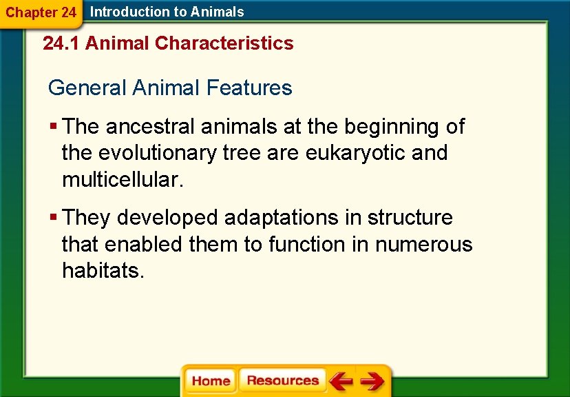 Chapter 24 Introduction to Animals 24. 1 Animal Characteristics General Animal Features § The