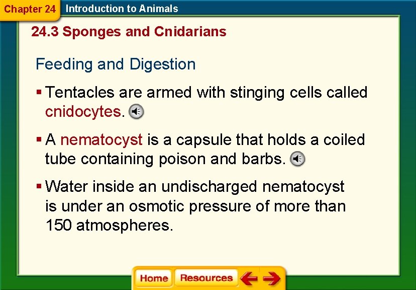 Chapter 24 Introduction to Animals 24. 3 Sponges and Cnidarians Feeding and Digestion §