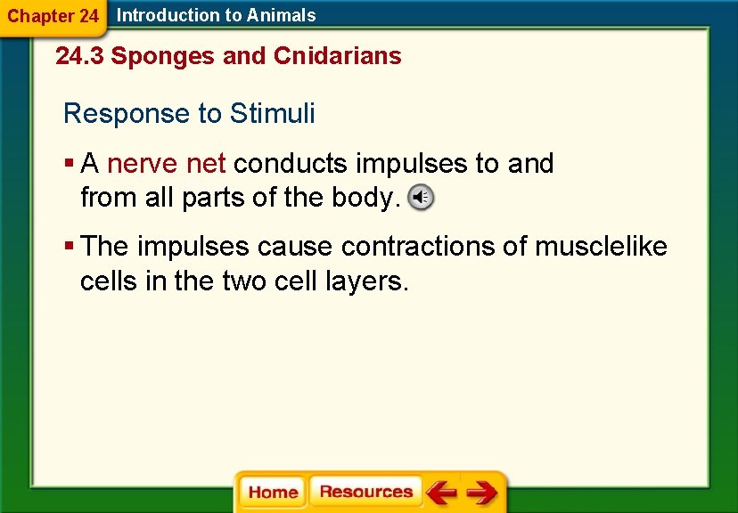 Chapter 24 Introduction to Animals 24. 3 Sponges and Cnidarians Response to Stimuli §