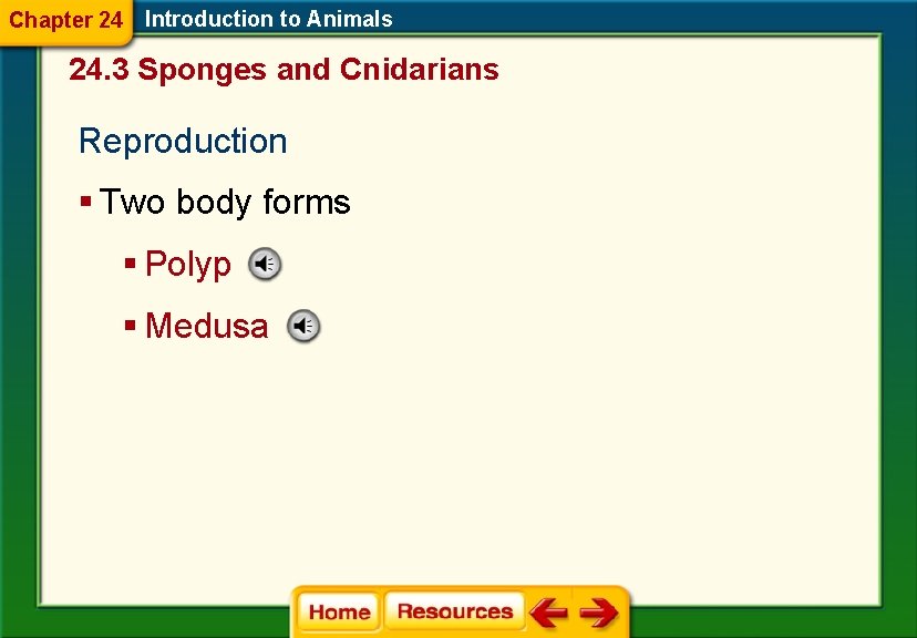 Chapter 24 Introduction to Animals 24. 3 Sponges and Cnidarians Reproduction § Two body