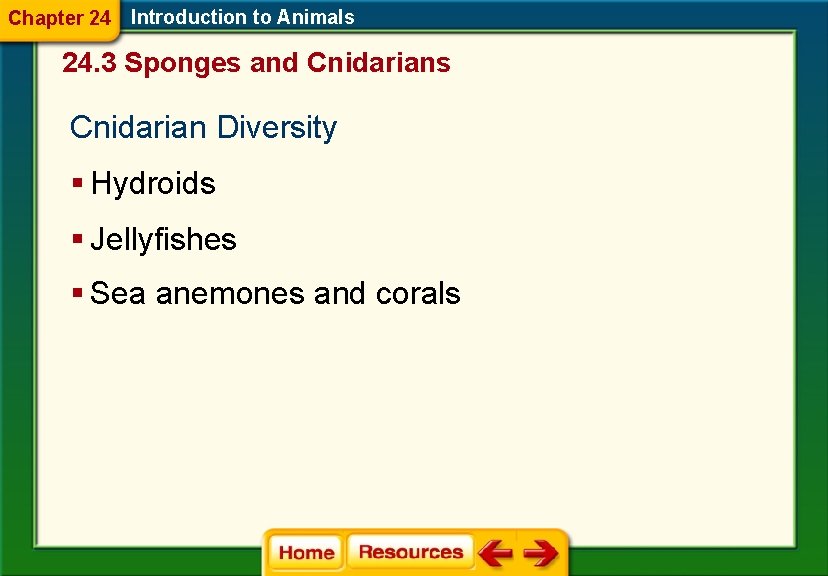 Chapter 24 Introduction to Animals 24. 3 Sponges and Cnidarians Cnidarian Diversity § Hydroids