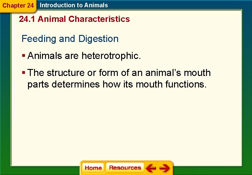 Chapter 24 Introduction to Animals 24. 1 Animal Characteristics Feeding and Digestion § Animals