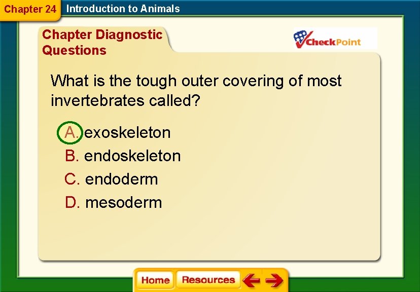 Chapter 24 Introduction to Animals Chapter Diagnostic Questions What is the tough outer covering