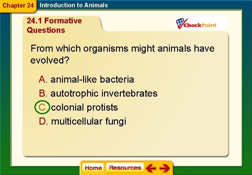 Chapter 24 Introduction to Animals 24. 1 Formative Questions From which organisms might animals