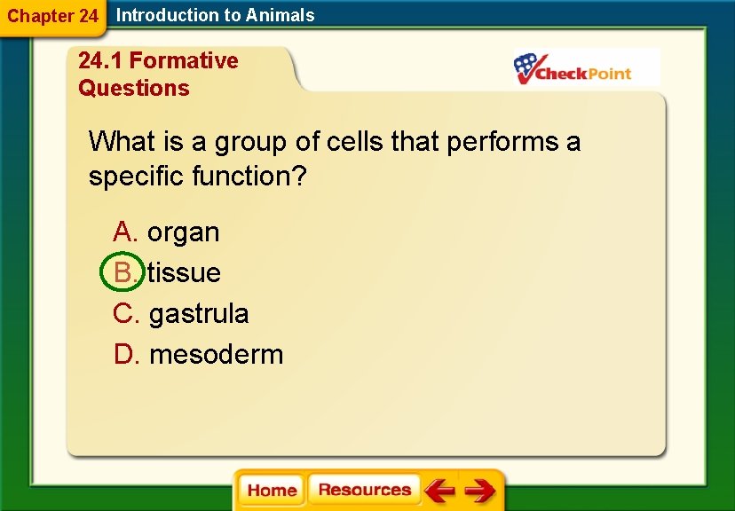 Chapter 24 Introduction to Animals 24. 1 Formative Questions What is a group of