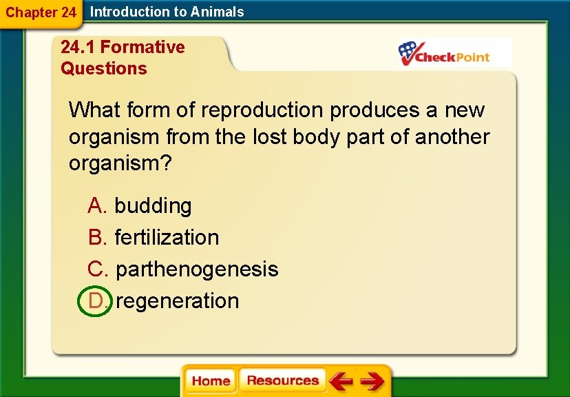 Chapter 24 Introduction to Animals 24. 1 Formative Questions What form of reproduction produces