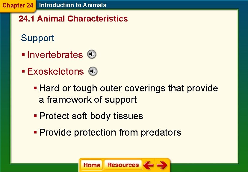 Chapter 24 Introduction to Animals 24. 1 Animal Characteristics Support § Invertebrates § Exoskeletons