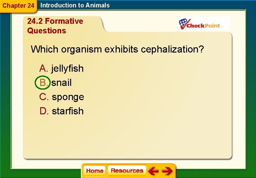 Chapter 24 Introduction to Animals 24. 2 Formative Questions Which organism exhibits cephalization? A.