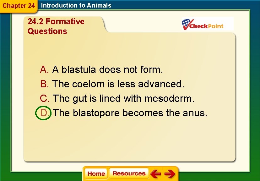 Chapter 24 Introduction to Animals 24. 2 Formative Questions A. A blastula does not