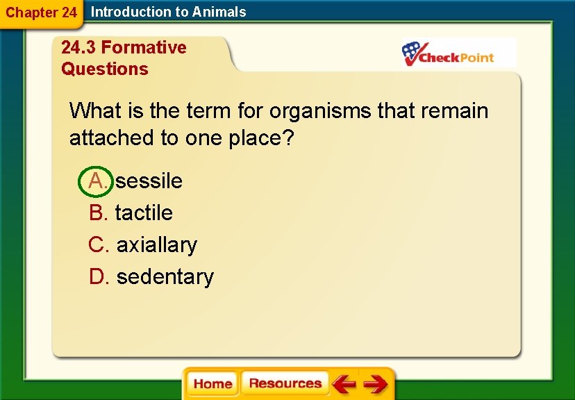 Chapter 24 Introduction to Animals 24. 3 Formative Questions What is the term for