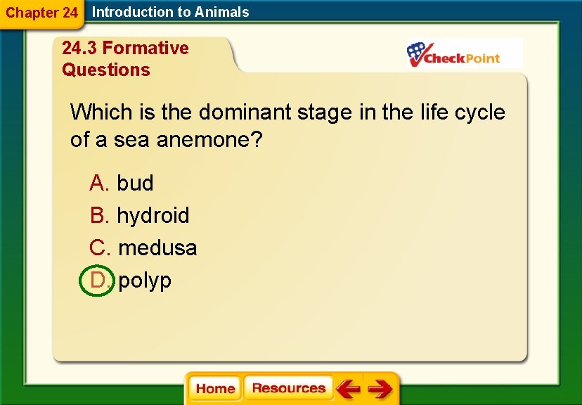 Chapter 24 Introduction to Animals 24. 3 Formative Questions Which is the dominant stage