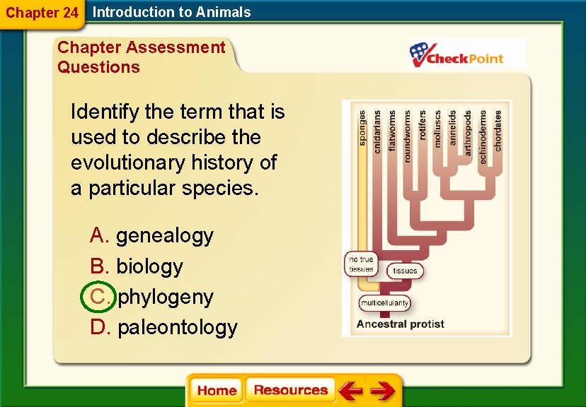 Chapter 24 Introduction to Animals Chapter Assessment Questions Identify the term that is used