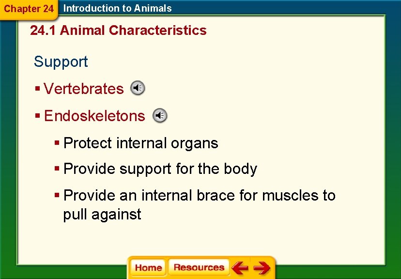 Chapter 24 Introduction to Animals 24. 1 Animal Characteristics Support § Vertebrates § Endoskeletons