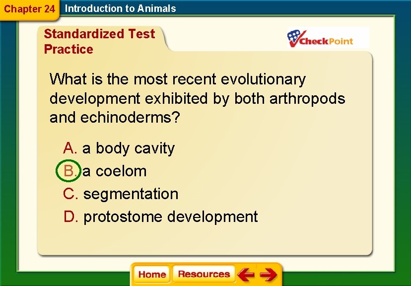 Chapter 24 Introduction to Animals Standardized Test Practice What is the most recent evolutionary