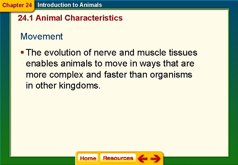 Chapter 24 Introduction to Animals 24. 1 Animal Characteristics Movement § The evolution of