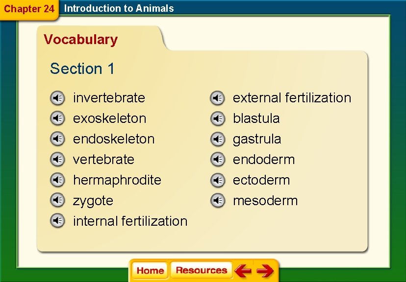 Chapter 24 Introduction to Animals Vocabulary Section 1 invertebrate external fertilization exoskeleton endoskeleton vertebrate