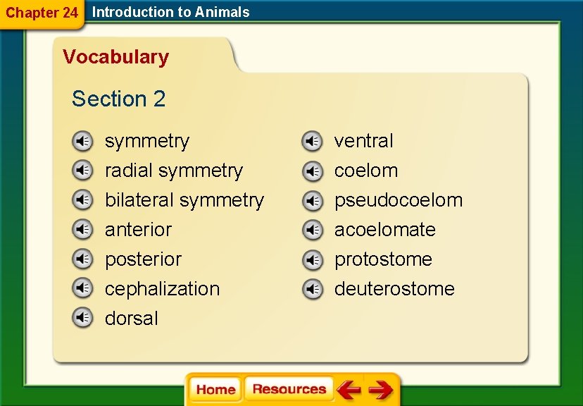 Chapter 24 Introduction to Animals Vocabulary Section 2 symmetry ventral radial symmetry bilateral symmetry