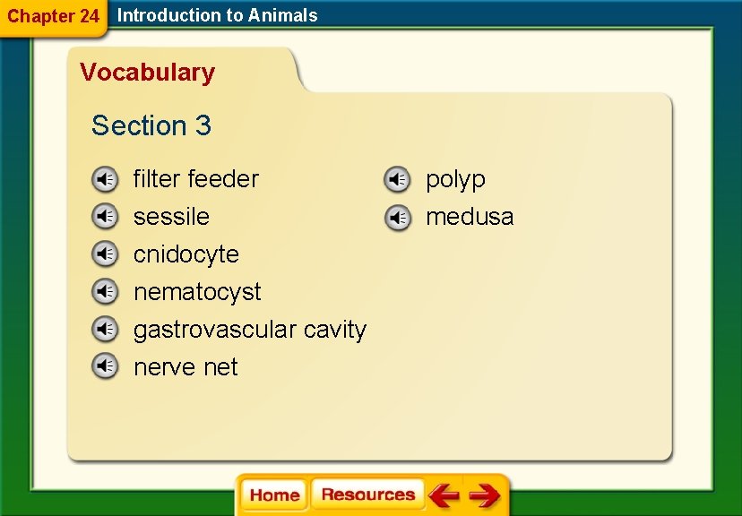 Chapter 24 Introduction to Animals Vocabulary Section 3 filter feeder polyp sessile cnidocyte nematocyst