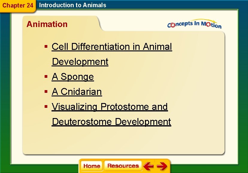 Chapter 24 Introduction to Animals Animation § Cell Differentiation in Animal Development § A