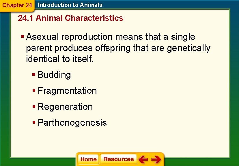 Chapter 24 Introduction to Animals 24. 1 Animal Characteristics § Asexual reproduction means that