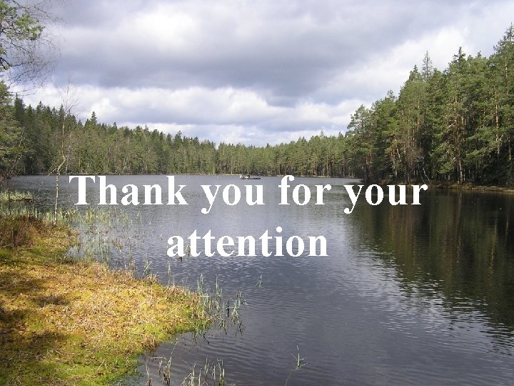 Thank you for your attention 