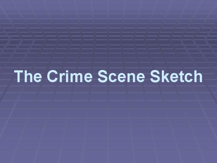 The Crime Scene Sketch 