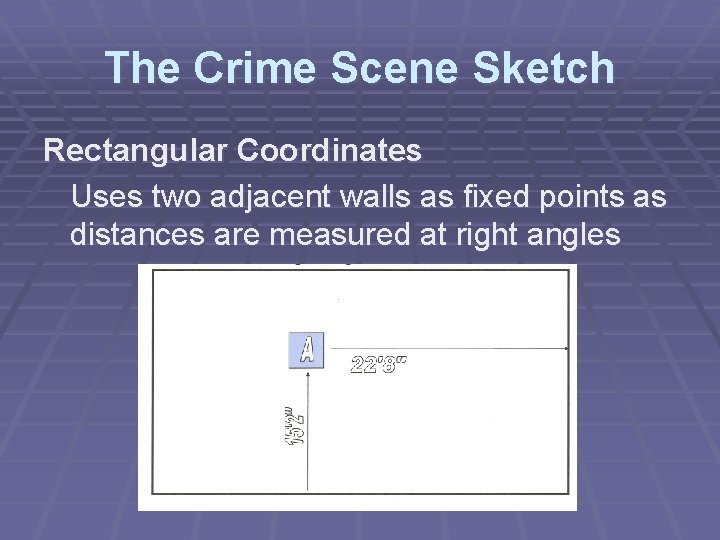 The Crime Scene Sketch Rectangular Coordinates Uses two adjacent walls as fixed points as