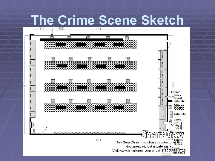 The Crime Scene Sketch 